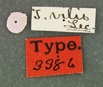 Media type: image;   Entomology 3386 Aspect: labels